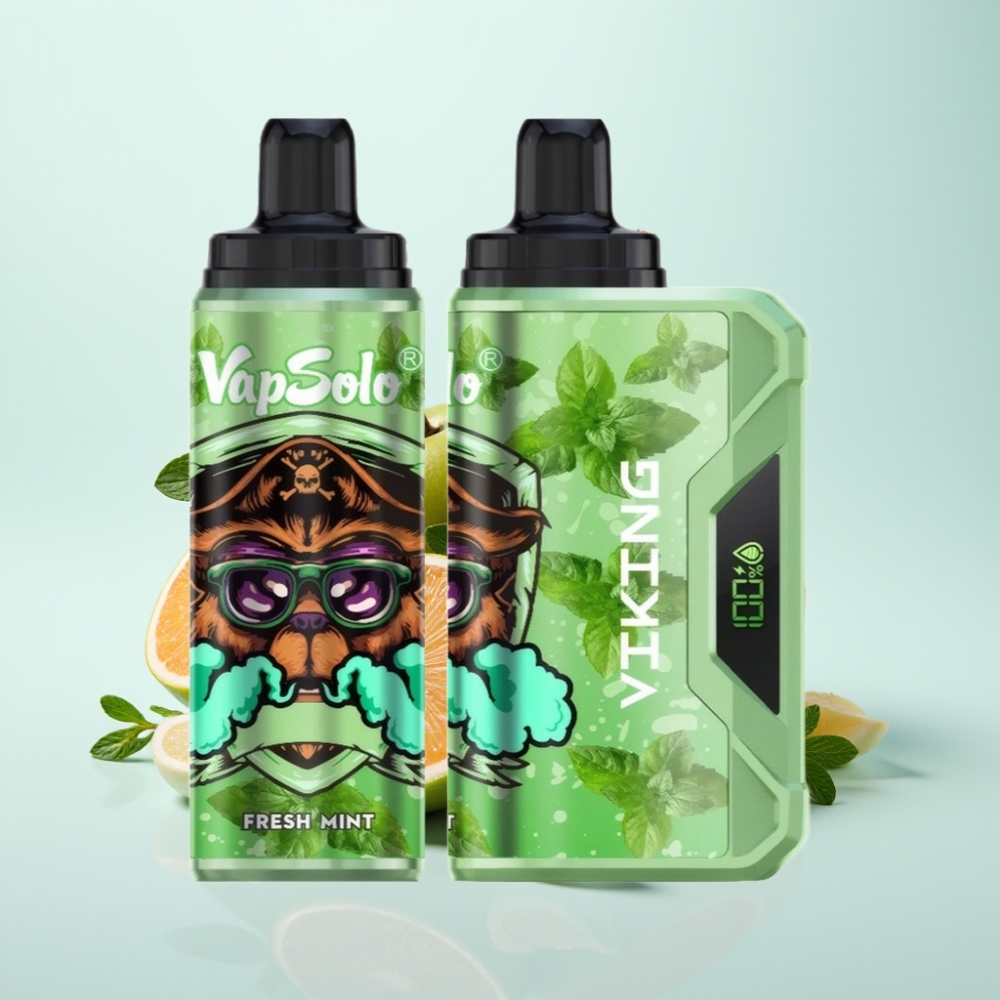 VapSolo VIKING 12000 Puffs Disposable Vape Raikas Mint 22ml Type-C LED-näyttö